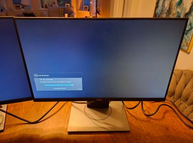 Dell Monitor x2