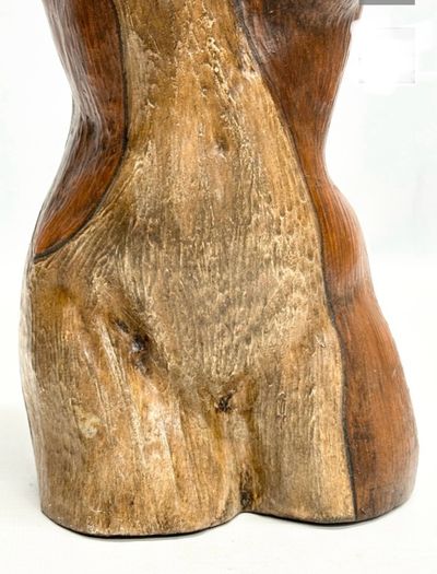 Terracotta Bust of a Lady