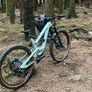 yt capra cf Image 5