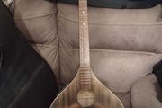 Irish concert bouzouki.