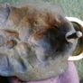 Vintage Brass Lion Door Knocker Image 7