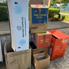 Free moving boxes