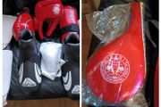 sparring gear