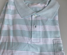 BNWT Polo Shirt, size L