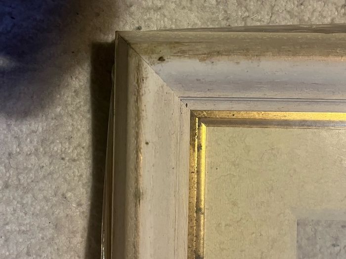 frame vintage swept/moulded off-white painted wooden frame with a gold-gilded inner slip/sight edge