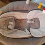 Graco Soothe My Way Baby Swing Rocker Image 5