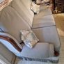 Suite of furniture Image 2