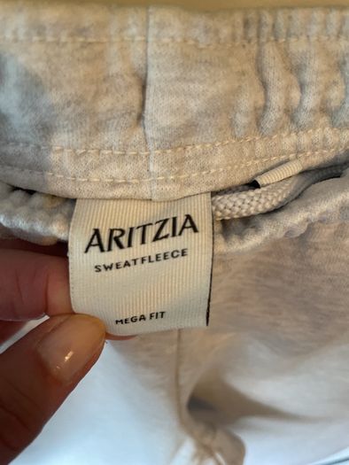 ARITZIA  joggers