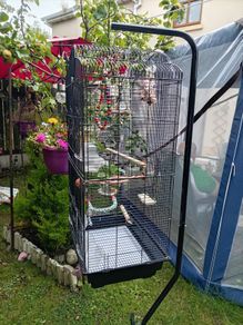 Bird cage and stand