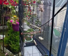 Bird cage and stand