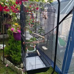 Bird cage and stand