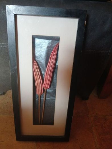 Stunning framed Okra Pods Picture