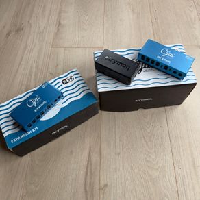 Strymon Ojai R30 and expansion kit