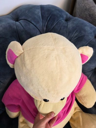 Big teddy