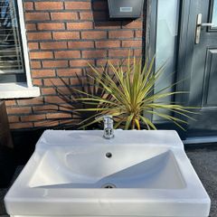sink taps and waste