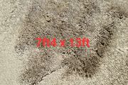 carpet 7ft4 x 13ft