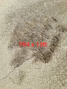 carpet 7ft4 x 13ft
