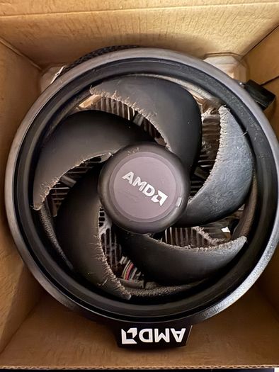 amd 3600
