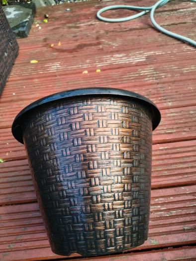 Five  Flower pots