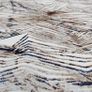 Rug Modern Beige, Brown & Blue Rug  200x300 cm Image 2