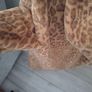 leopard print faux coat Image 6