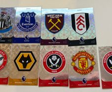 Panini Adrenalyn Xl 2024 Badges