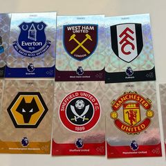 Panini Adrenalyn Xl 2024 Badges