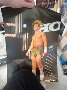 AEW Hook Poster