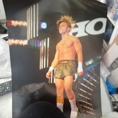AEW Hook Poster