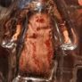 texas chainsaw massacre Image 3