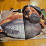 Just Dogs. A Literary And Photographic Tribut To The Great Hunting Breeds. First Edition Large Volume Hardback With Dustjacket In Good Condition.  See Photos For Same. Image 8