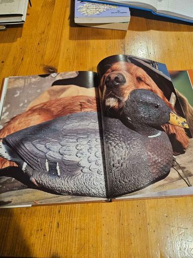 Just Dogs. A Literary And Photographic Tribut To The Great Hunting Breeds. First Edition Large Volume Hardback With Dustjacket In Good Condition.  See Photos For Same.