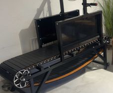 Dog Treadmill