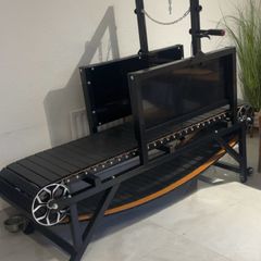 Dog Treadmill