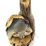 Wooden carving Hedgehog Image 3