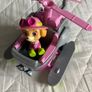 Skye and Helicopter from Paw Patrol Image 2