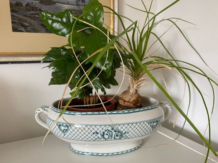 A gorgeous Swedish tureen from 1928-30.