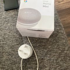 google home