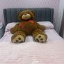 teddy bear Image 2