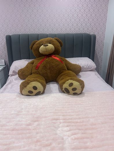 teddy bear