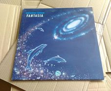 Over 25% OFF! No. 50 Pcs x 12 Inch LP Album & Single Vinyl Record Covers Crystal CLEAR plastic Outer sleeves - BLAKE SLEEVES - NO FLAP SEAL
