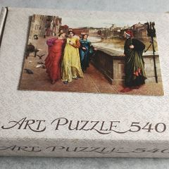540 piece Jigsaw (26203)