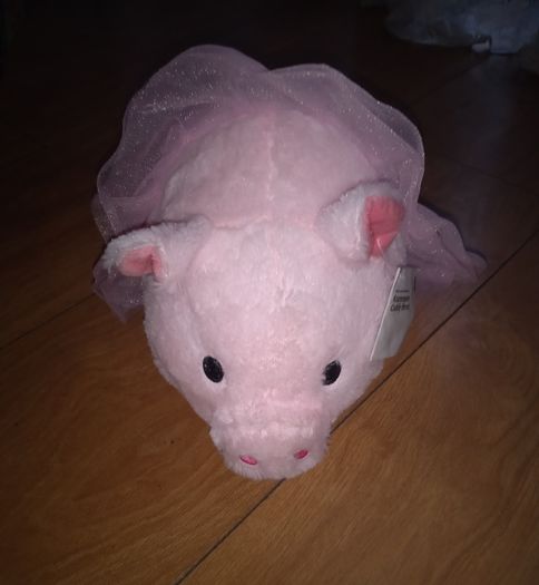 babys teddy