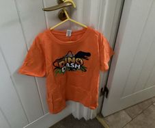 Orange T-shirt bnwot age 11/12
