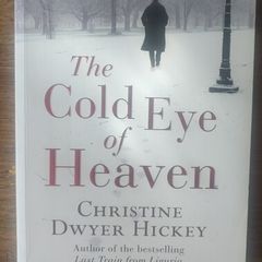 The Cold Eye of Heaven [1st edition] - Christine Dwyer Hickey