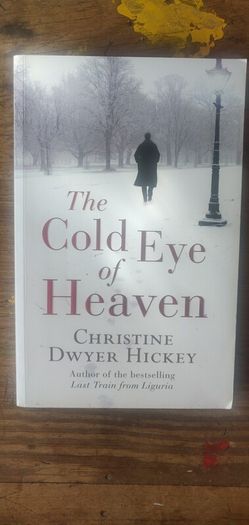 The Cold Eye of Heaven [1st edition] - Christine Dwyer Hickey