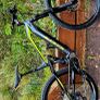 bike Image 6