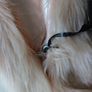 Simple Be Faux Fur Nude Scarf Collar.  B.N.W.T  S. One Size. Image 3