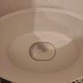 Tommee Tippee Electric Steam Sterilizer Image 3
