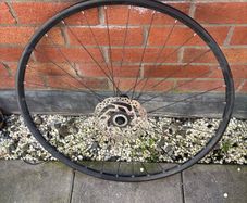 bike wheels back